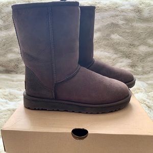 UGG Classic Short II in chocolate brown. Size 7